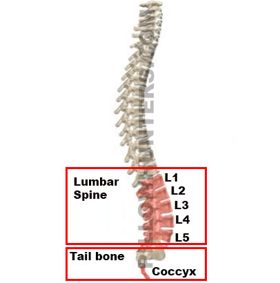 Can't seem to get comfortable? Try our FORTEM Lumbar Support