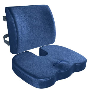  FORTEM Seat Cushion and Lumbar Support (Black, Mesh) + Chair  Seat Cushion : Home & Kitchen